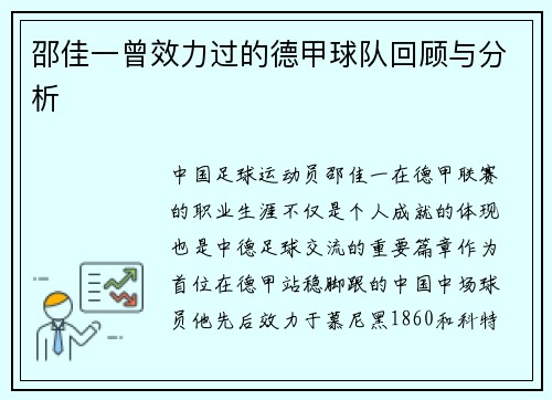 邵佳一曾效力过的德甲球队回顾与分析